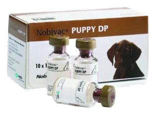 puppy DP Vaccine